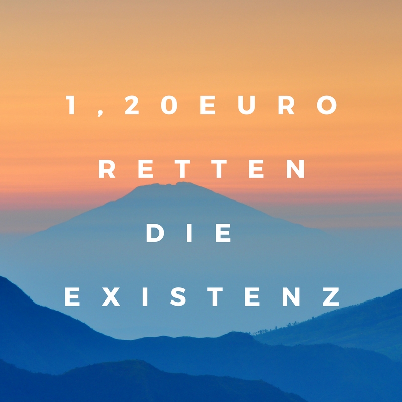 1,20 Euro retten die Existenz in der Berufsunfähigkeitsversicherung